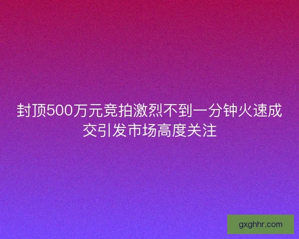 封顶500万元竞拍激烈不到一分钟火速成交引发市场高度关注